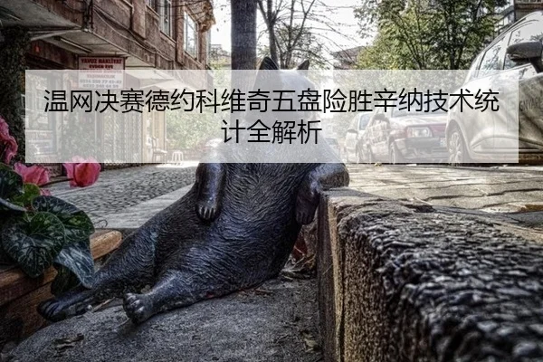 温网决赛德约科维奇五盘险胜辛纳技术统计全解析